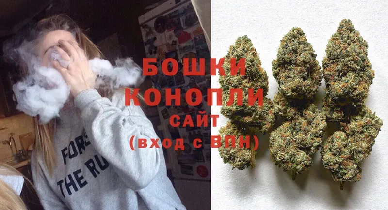 наркотики  Рошаль  Марихуана SATIVA & INDICA 